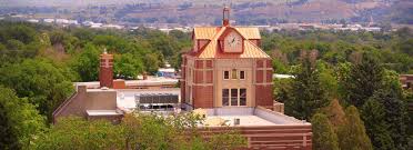جامعة ولاية مونتانا بيلينجز